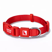 Einfarbiges Hunde- und Katzenhalsband