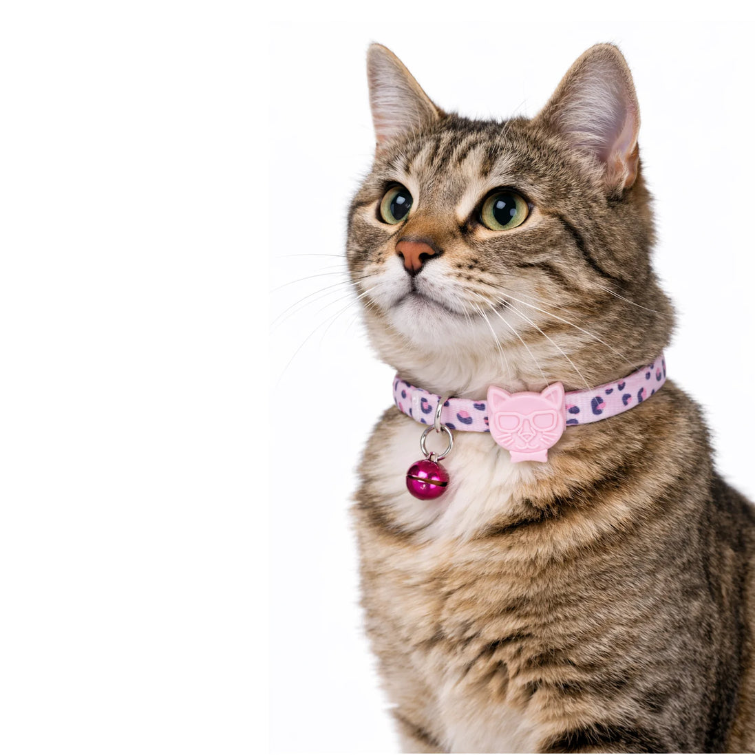 Gemustertes Halsband aus recycelten Materialien für Hunde und Katzen